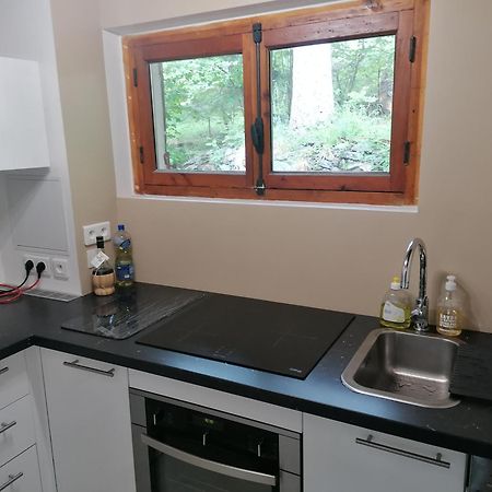 Chalet Le Tyrolien, Au Coeur Du Boreon Saint-Martin-Vésubie 외부 사진