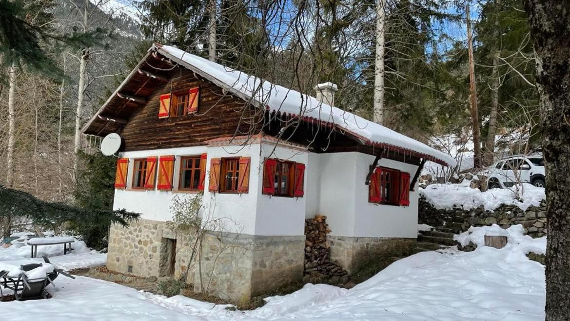 Chalet Le Tyrolien, Au Coeur Du Boreon Saint-Martin-Vésubie 외부 사진