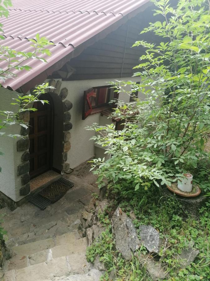 Chalet Le Tyrolien, Au Coeur Du Boreon Saint-Martin-Vésubie 외부 사진